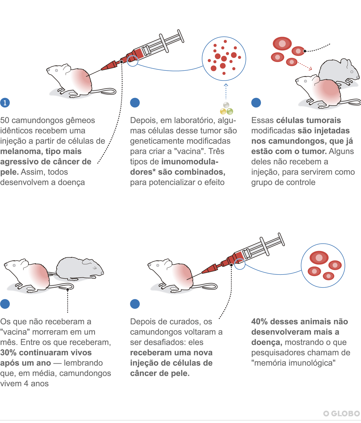 Cientistas testam terapia genética que pode funcionar como ‘vacina’ contra câncer Jornal O Globo